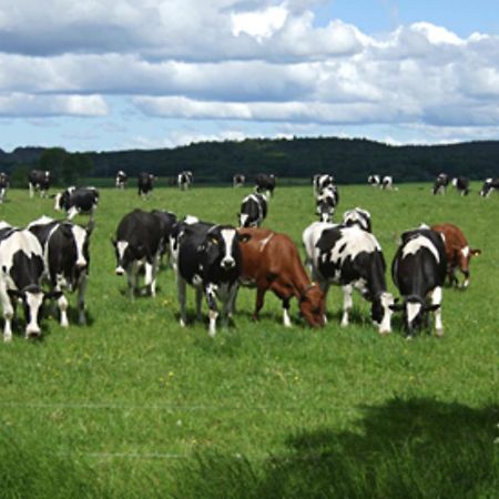 Wapnoe Gardshotell Halmstad Luaran gambar